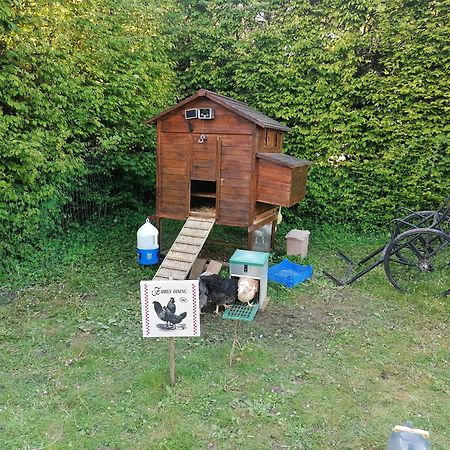 Chambre De L'Oree Du Bois Audeux Eksteriør bilde